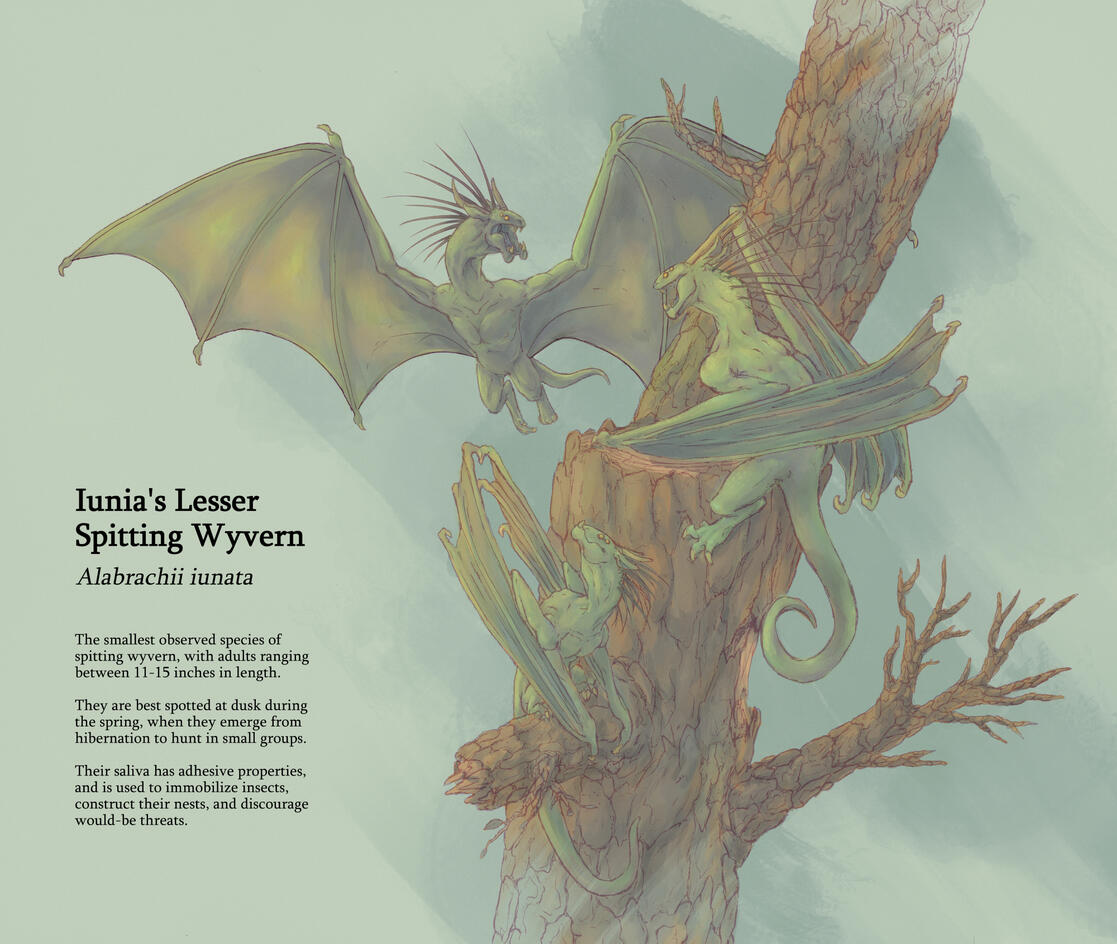Iunia's Wyverns Iunia's Wyverns