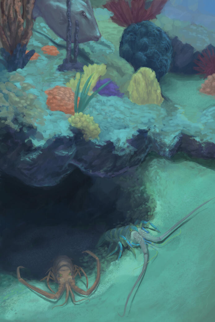 Rock Lobsters